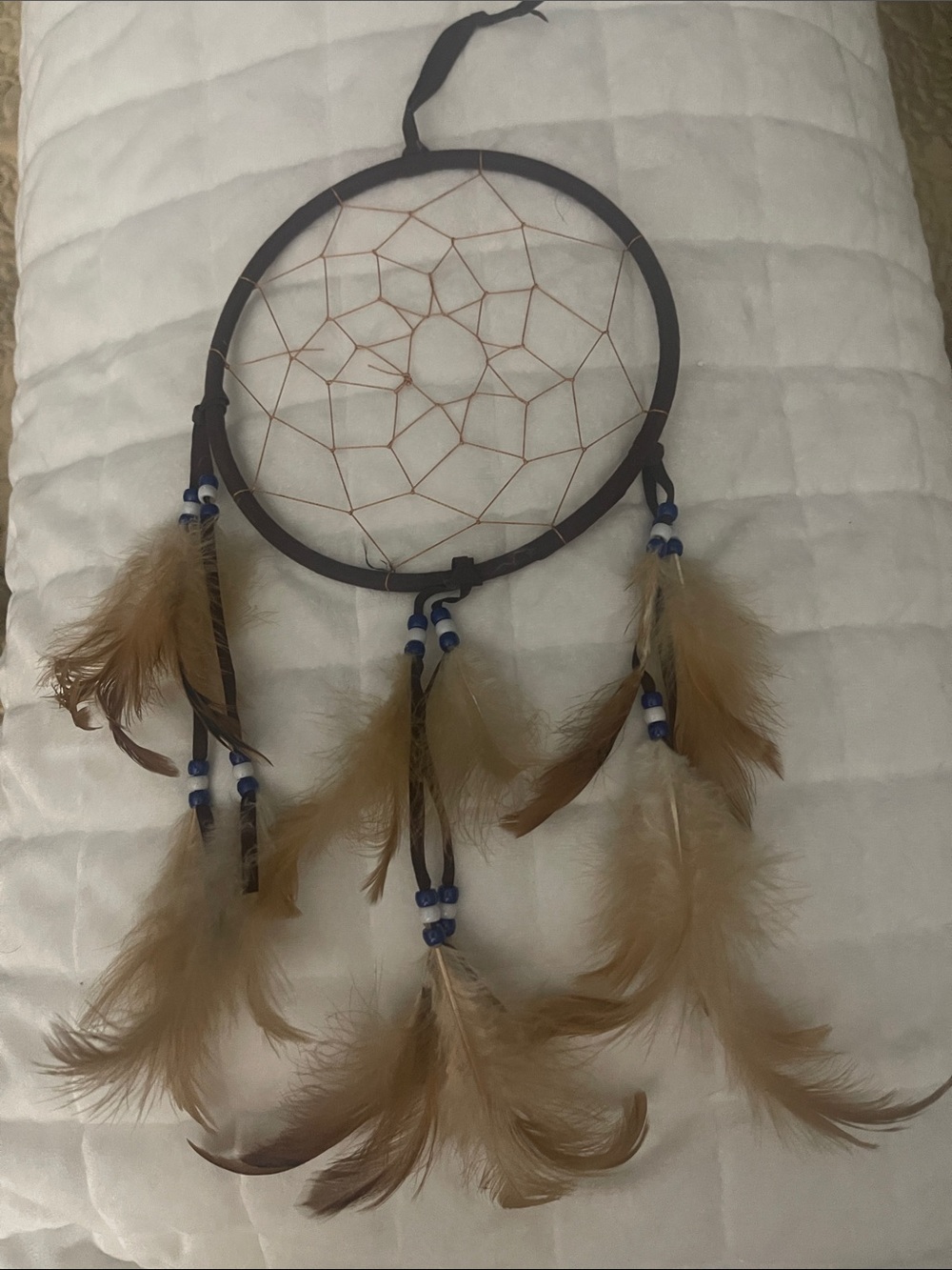 Brown Feather Dreamcatcher Wall Decor
